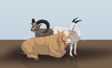 Daging Sapi Impor Diduga Masuk Jatim daging-sapi-impor-diduga-masuk-jatim