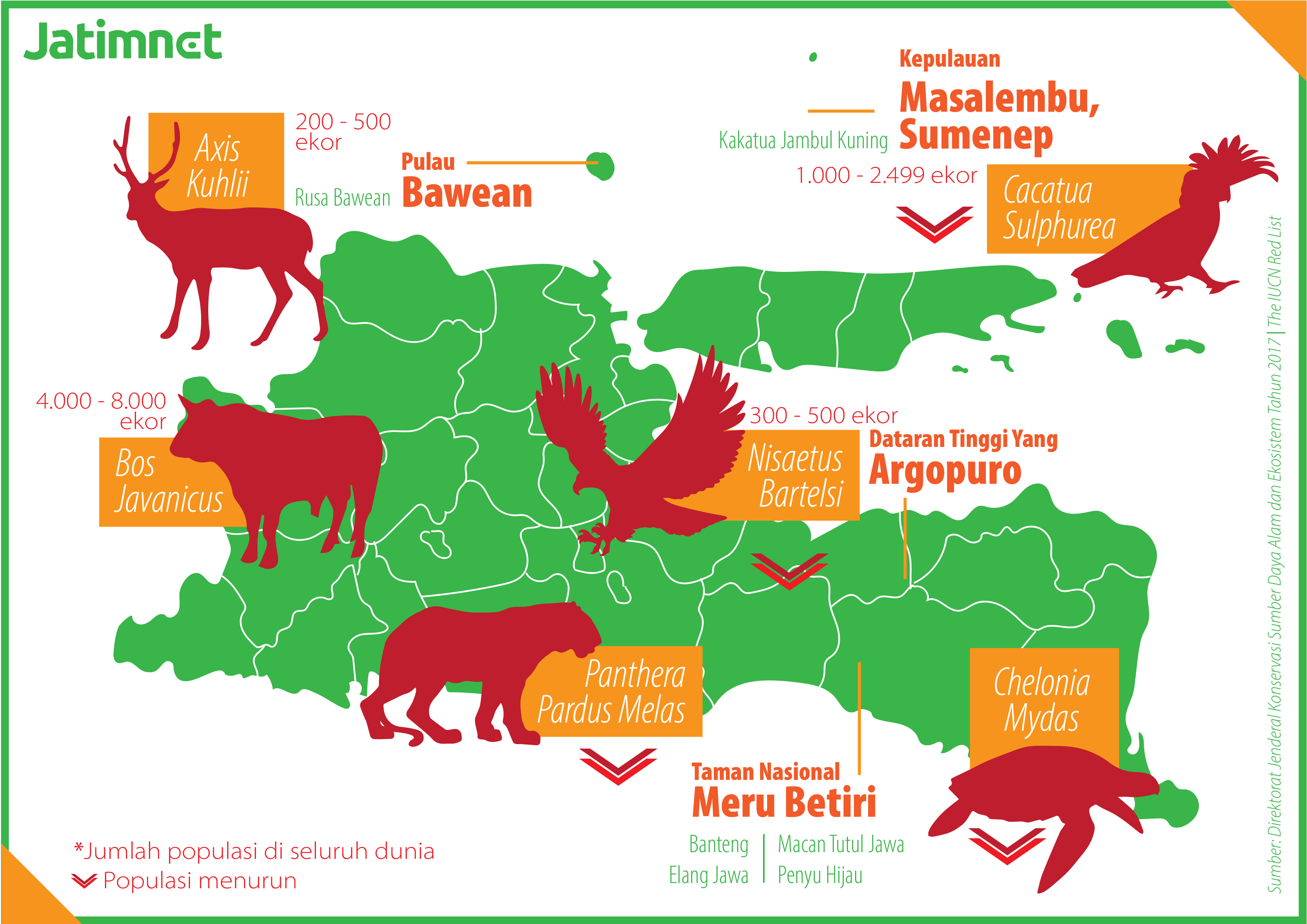Satwa Sitaan Berupa Ratusan Burung Dilindungi Terancam Mati