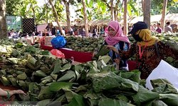 Sebanyak 26.000 Sego Buwuhan Catatkan Rekor MURI sebanyak-26-000-sego-buwuhan-catatkan-rekor-muri
