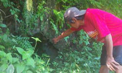 Menjaga Adat Istiadat Silo untuk Tetap Dirawat menjaga-adat-istiadat-silo-untuk-tetap-dirawat